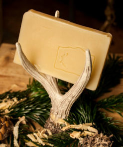 Woidseife - Zirbelkiefer